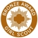 Girl Scout Bronze Award Girl Scout Bronze Award pin