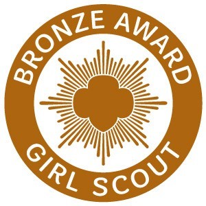 Girl Scout Bronze Award pin
