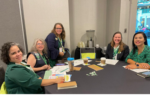 volunteers at summer summit